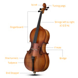 Full Side 4/4 Matte Natural Color Spruce Panel Cello with Bag Bow Rosin Bridge Strings