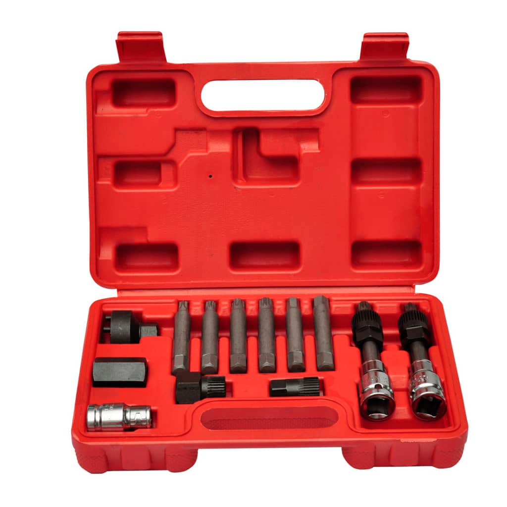 vidaXL Alternator Car Tool Kit