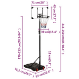 Basketball Stand Transparent 216-250 cm Polycarbonate