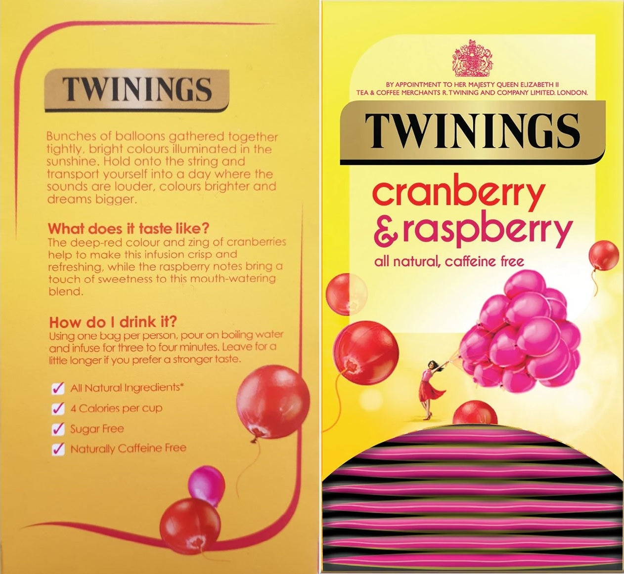 Twinings Cranberry & Raspberry Fruit Tea Bags Individually Enveloped Tagged UK