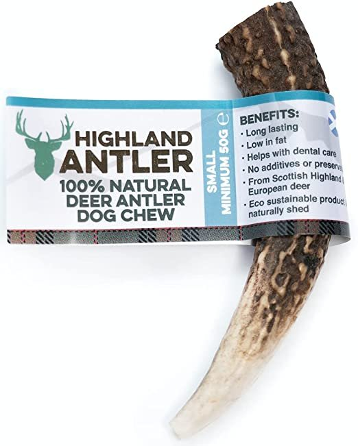 Deer Antler