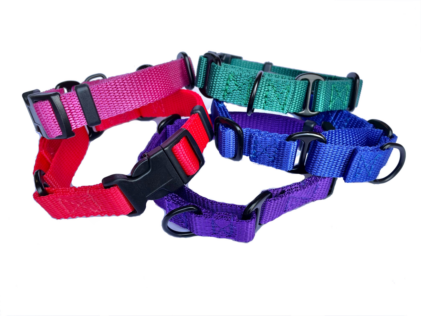 Martingale Dog Collar