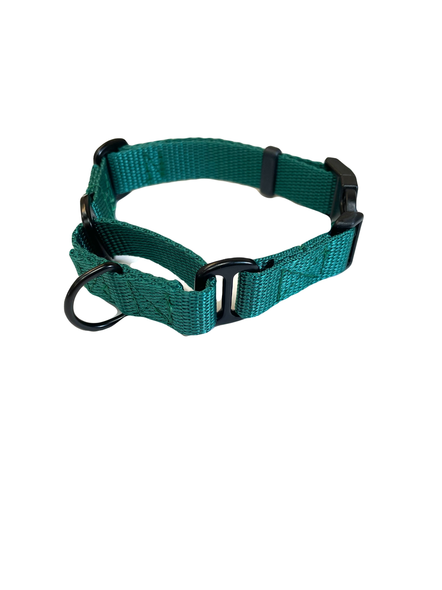 Martingale Dog Collar