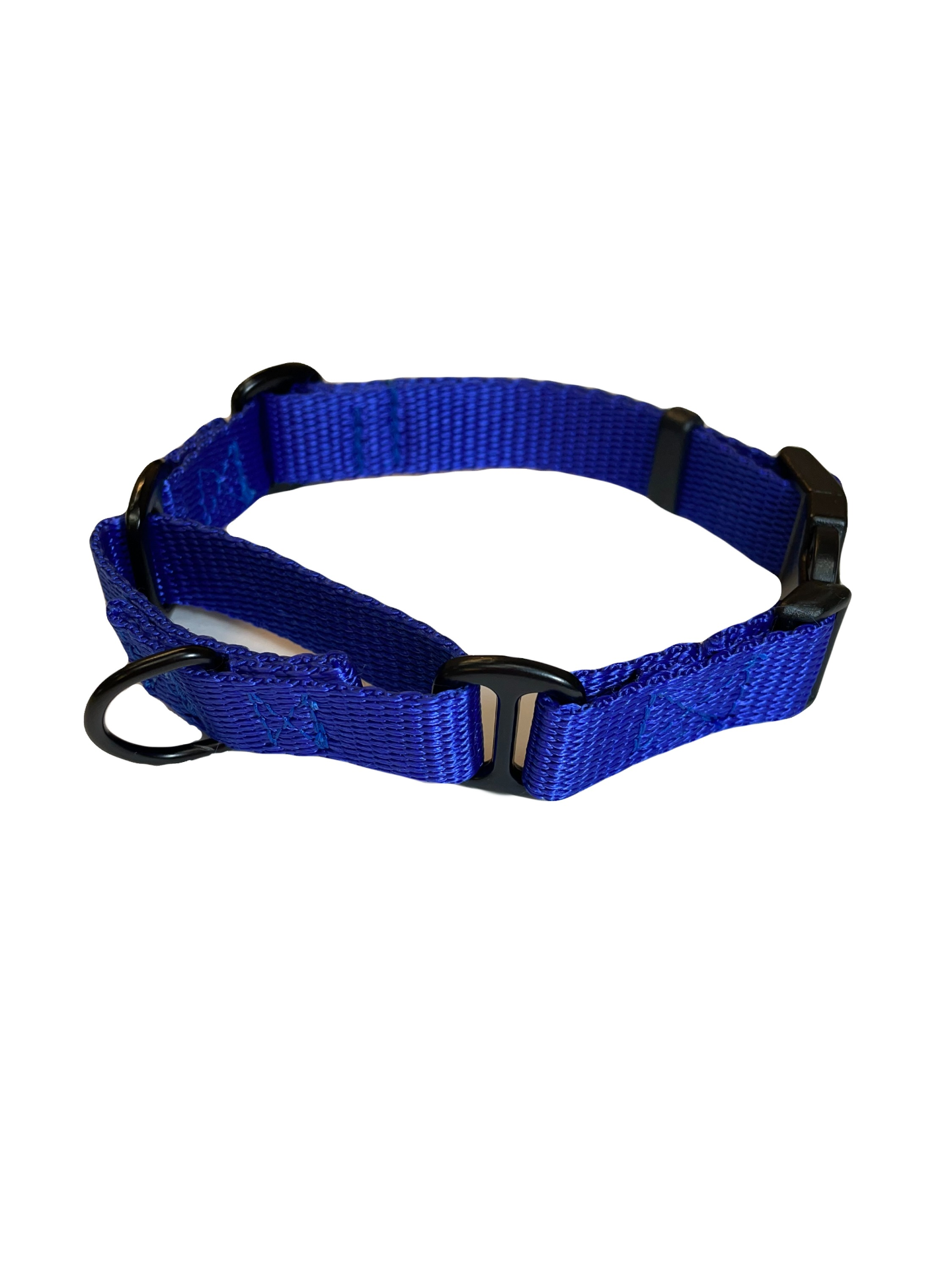 Martingale Dog Collar