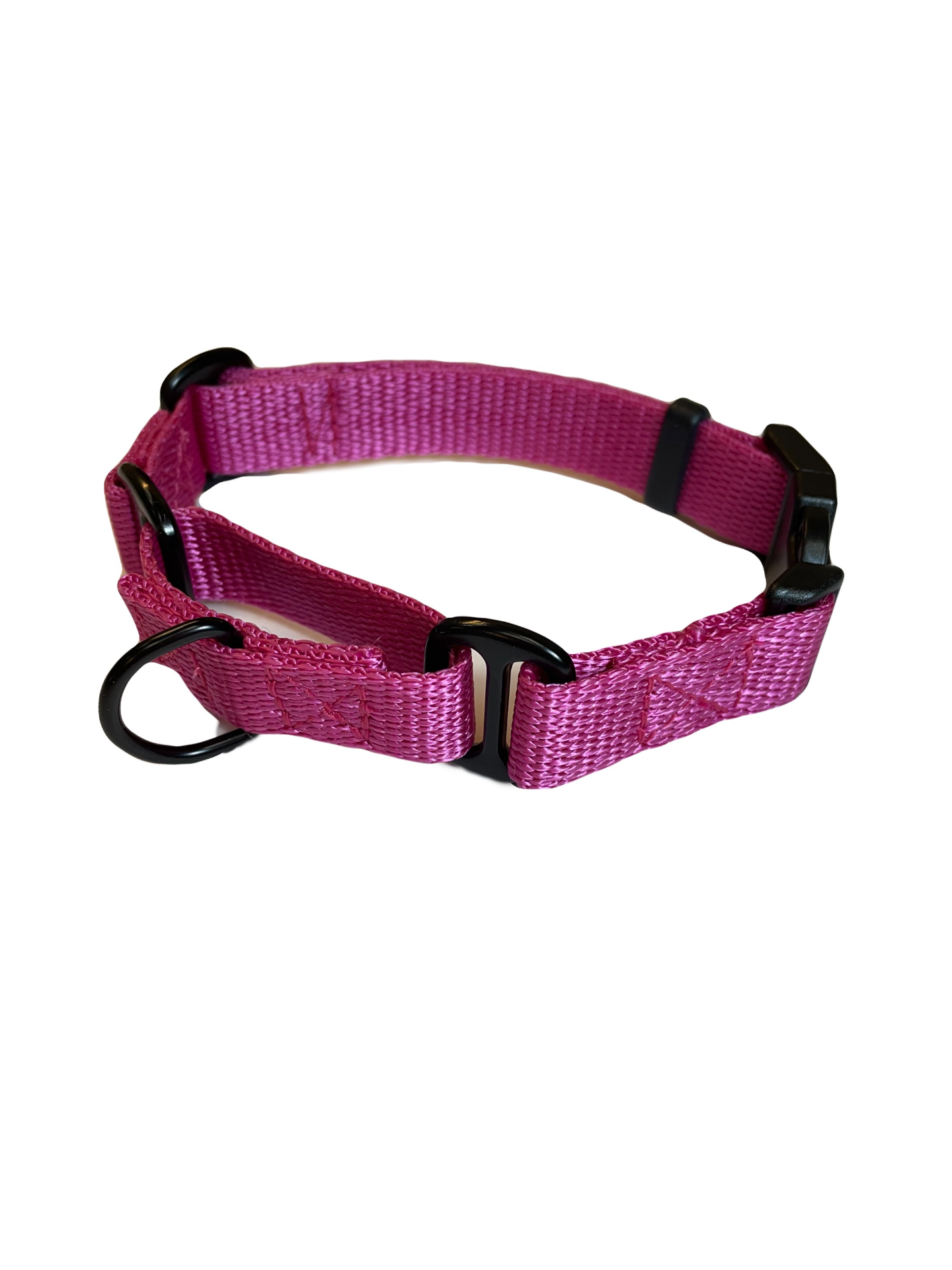 Martingale Dog Collar