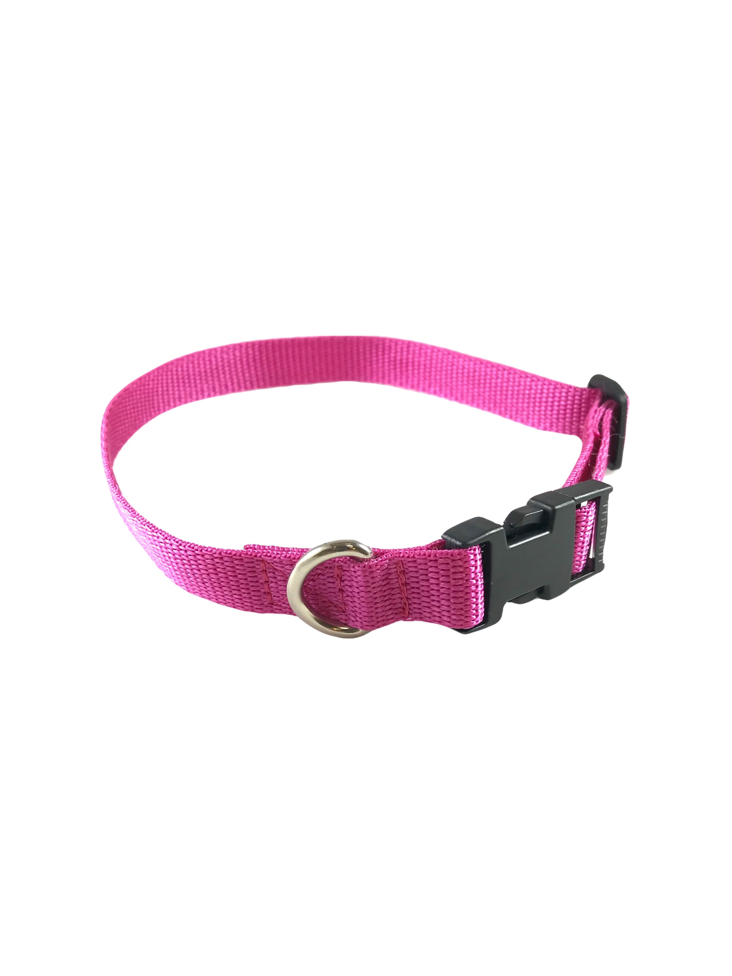 Standard Dog Collar