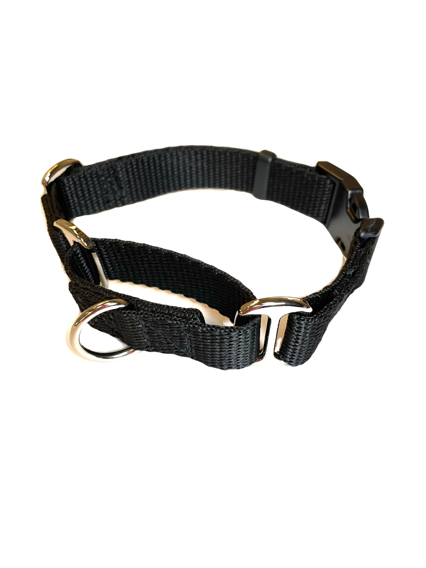 Martingale Dog Collar