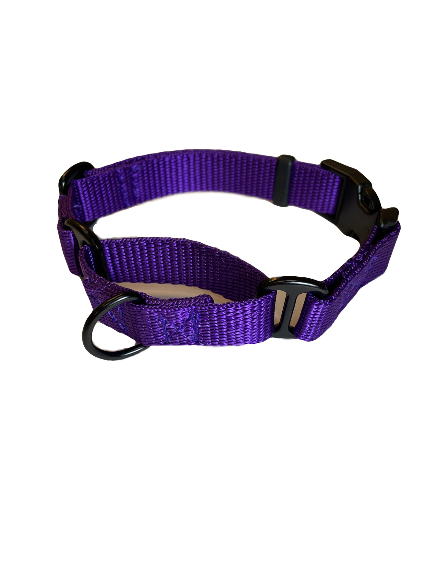 Martingale Dog Collar