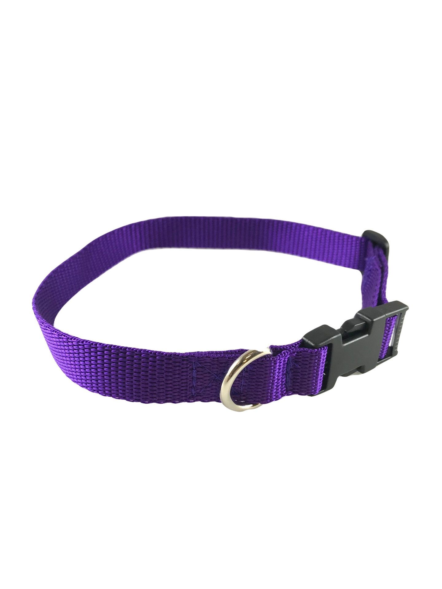 Standard Dog Collar