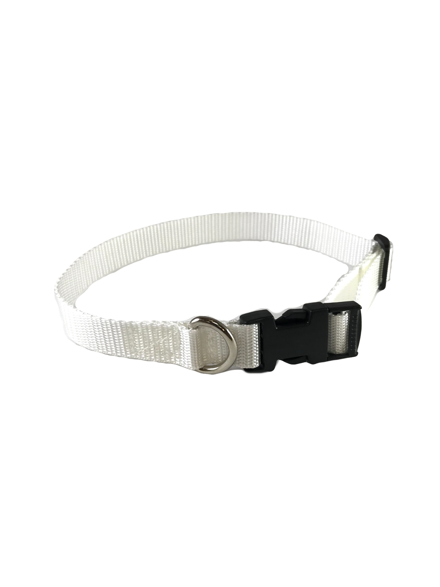 Standard Dog Collar