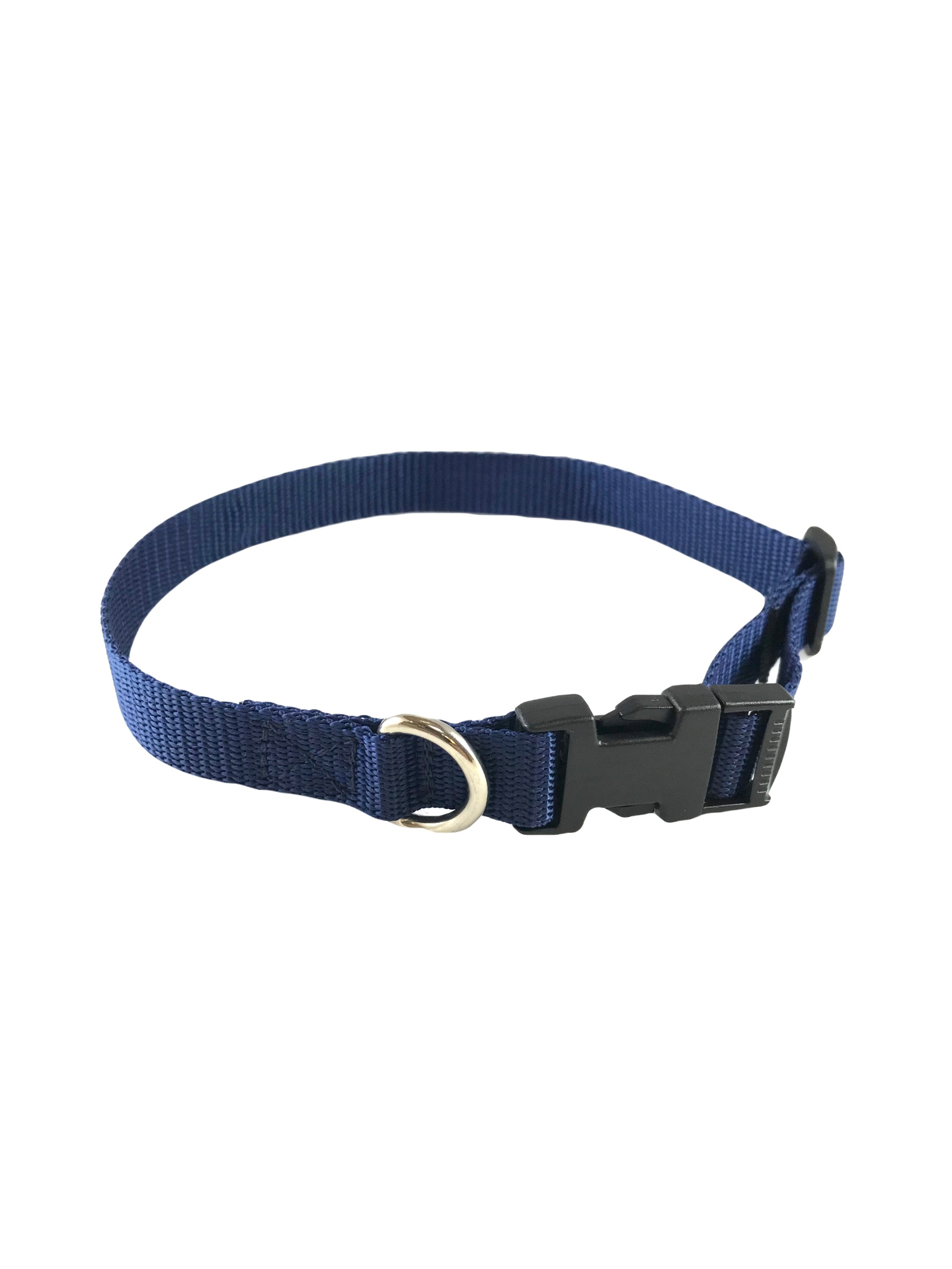 Standard Dog Collar