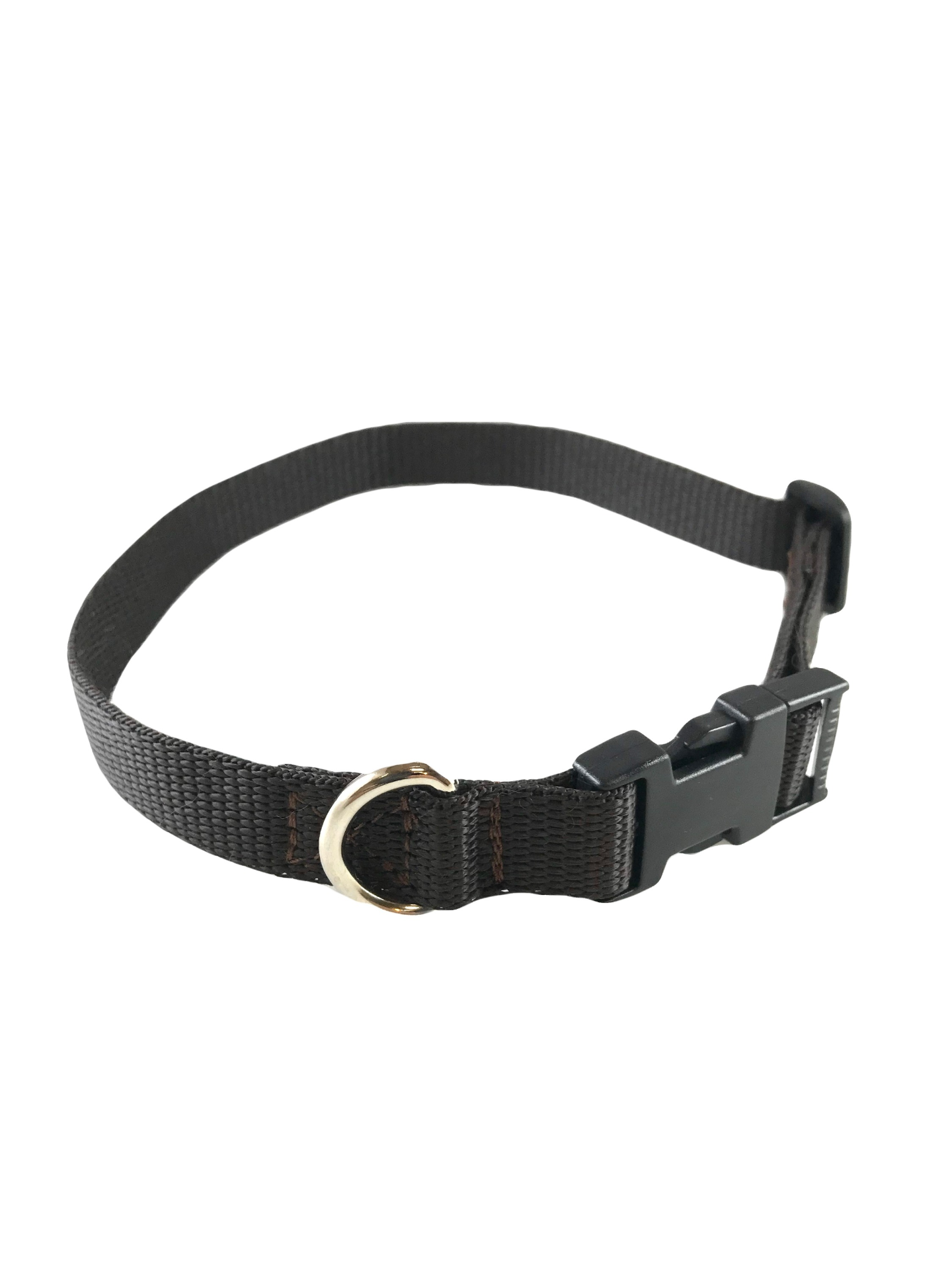 Standard Dog Collar