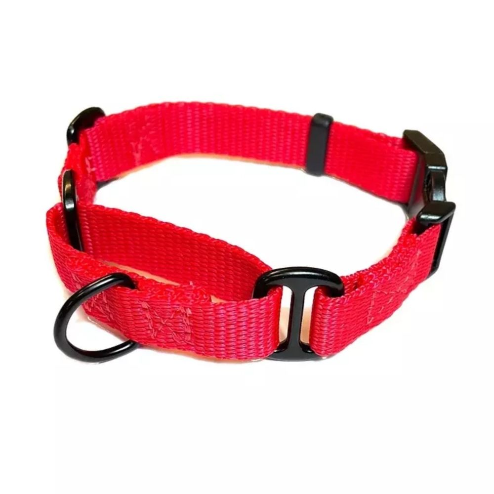 Martingale Dog Collar