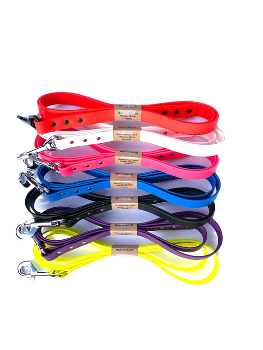 Waterproof Webbing Dog Lead