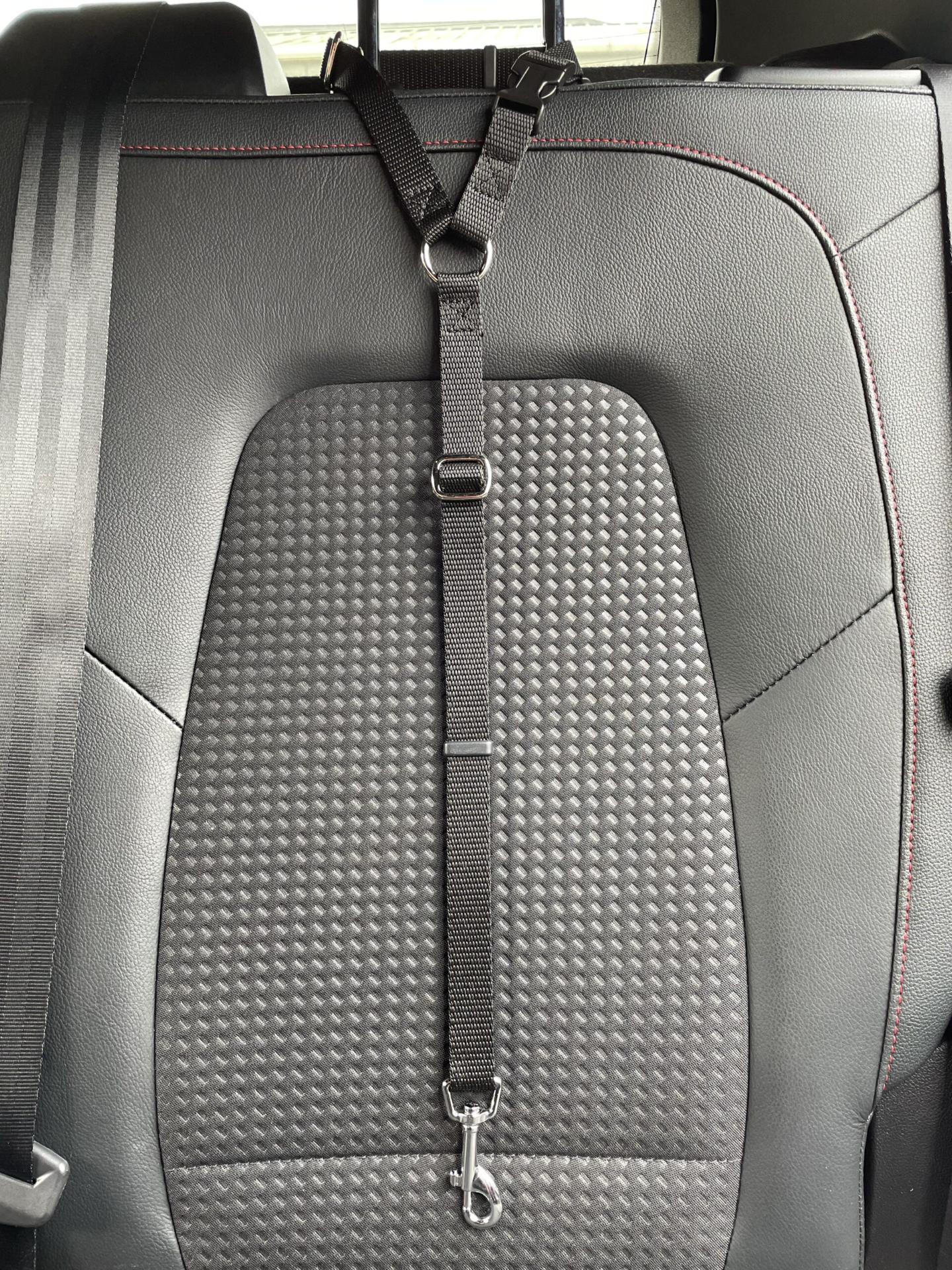 Car Seat Belt (for use with harness only)