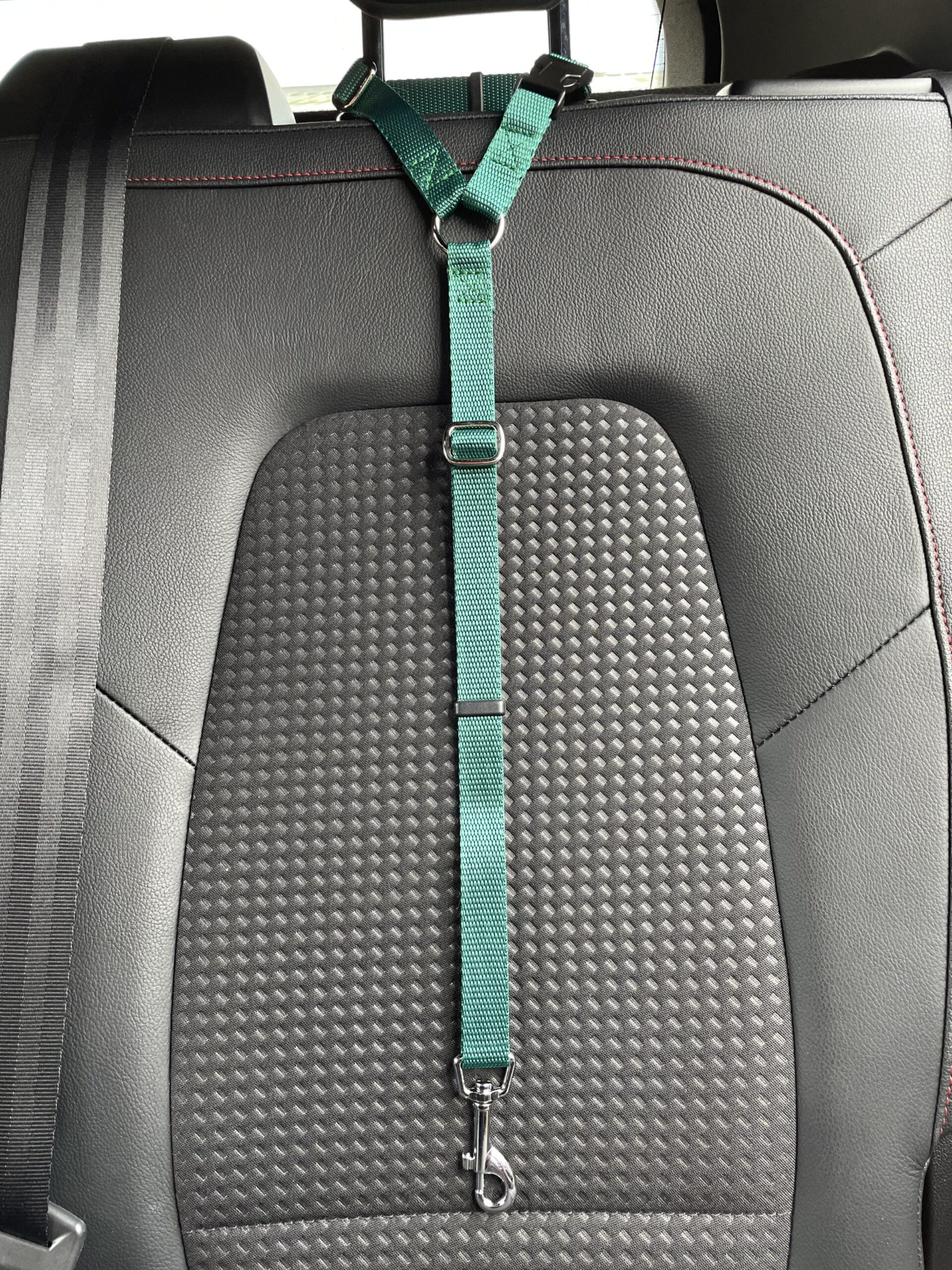 Car Seat Belt (for use with harness only)