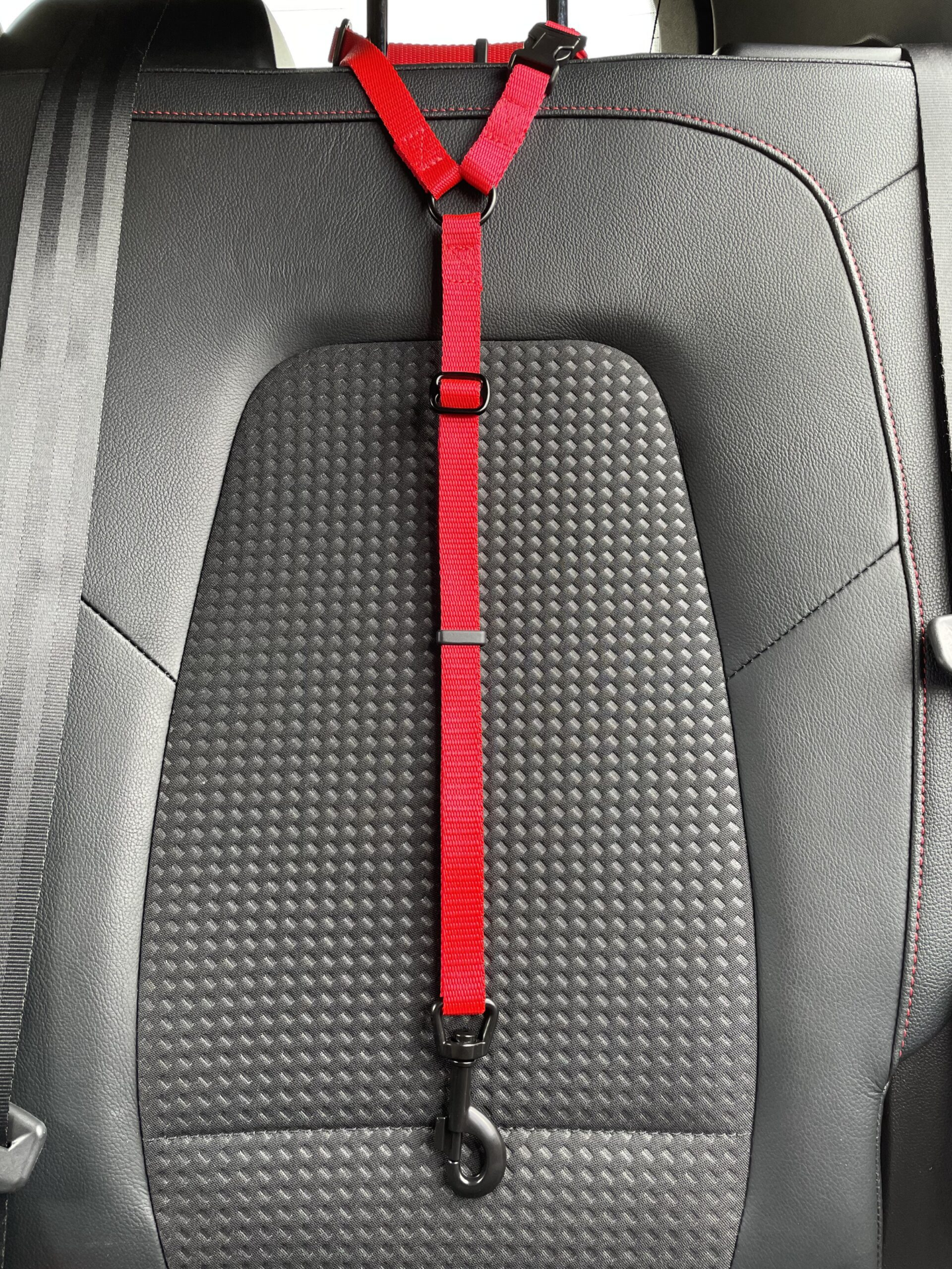 Car Seat Belt (for use with harness only)