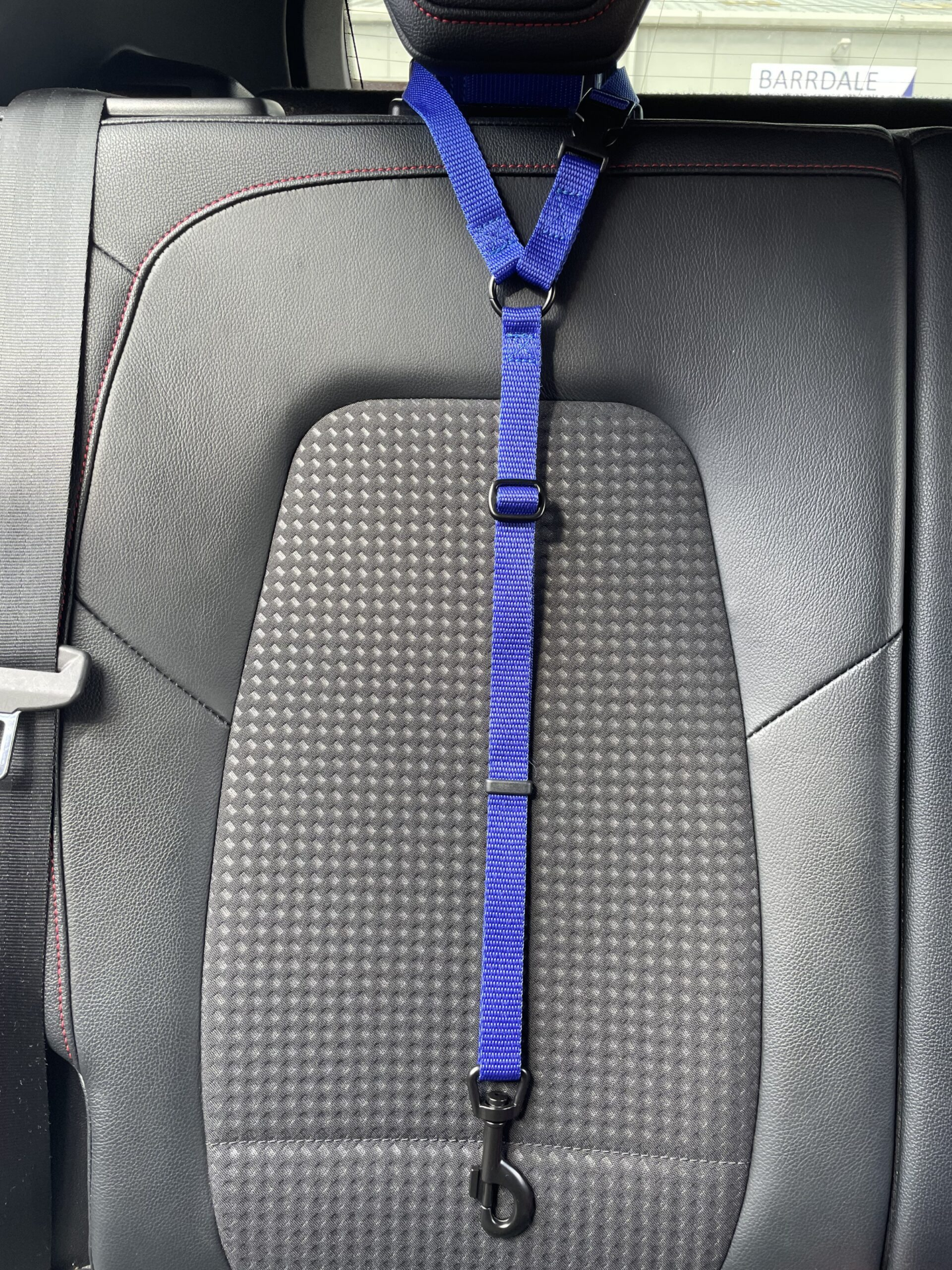 Car Seat Belt (for use with harness only)