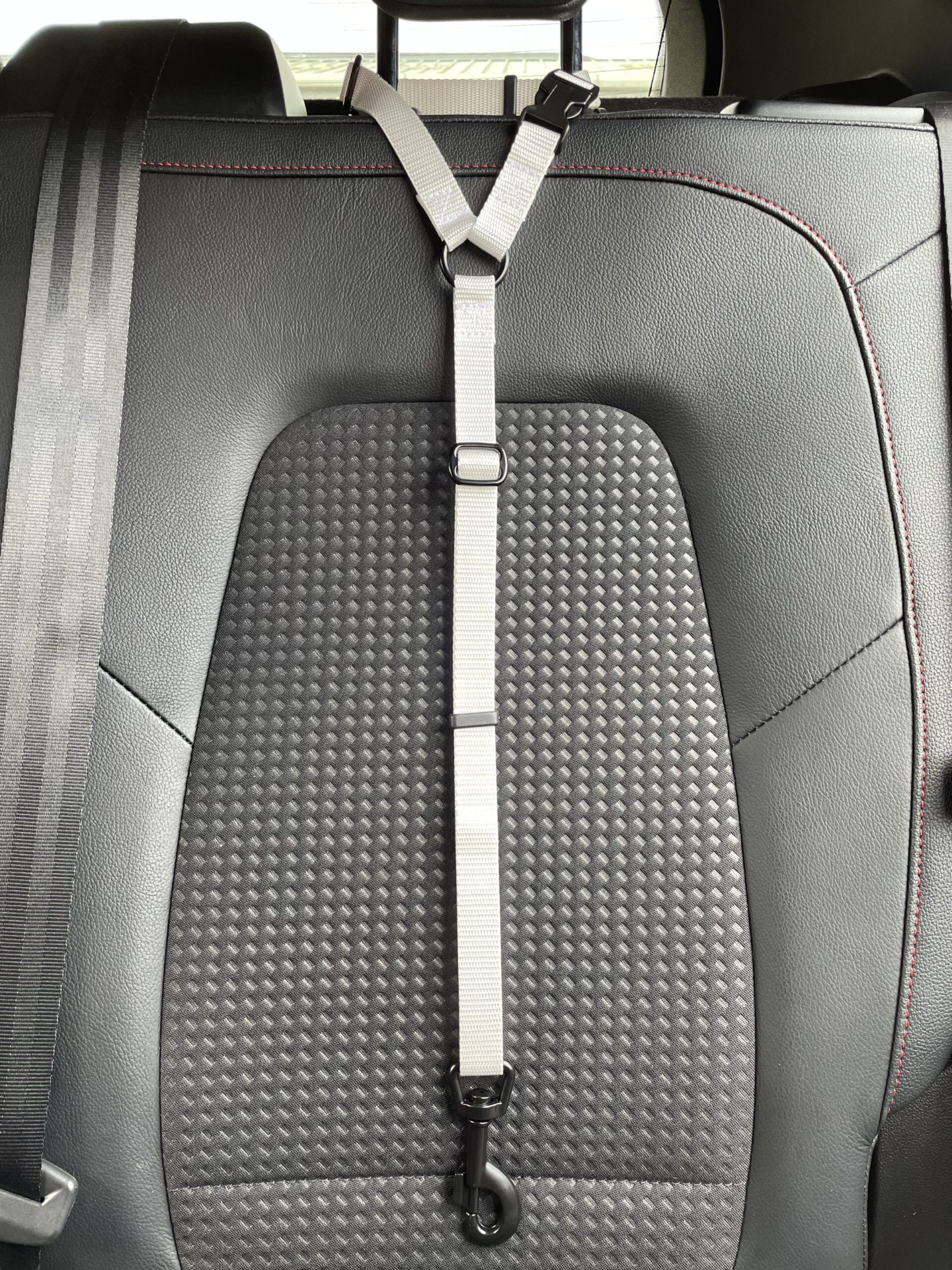 Car Seat Belt (for use with harness only)