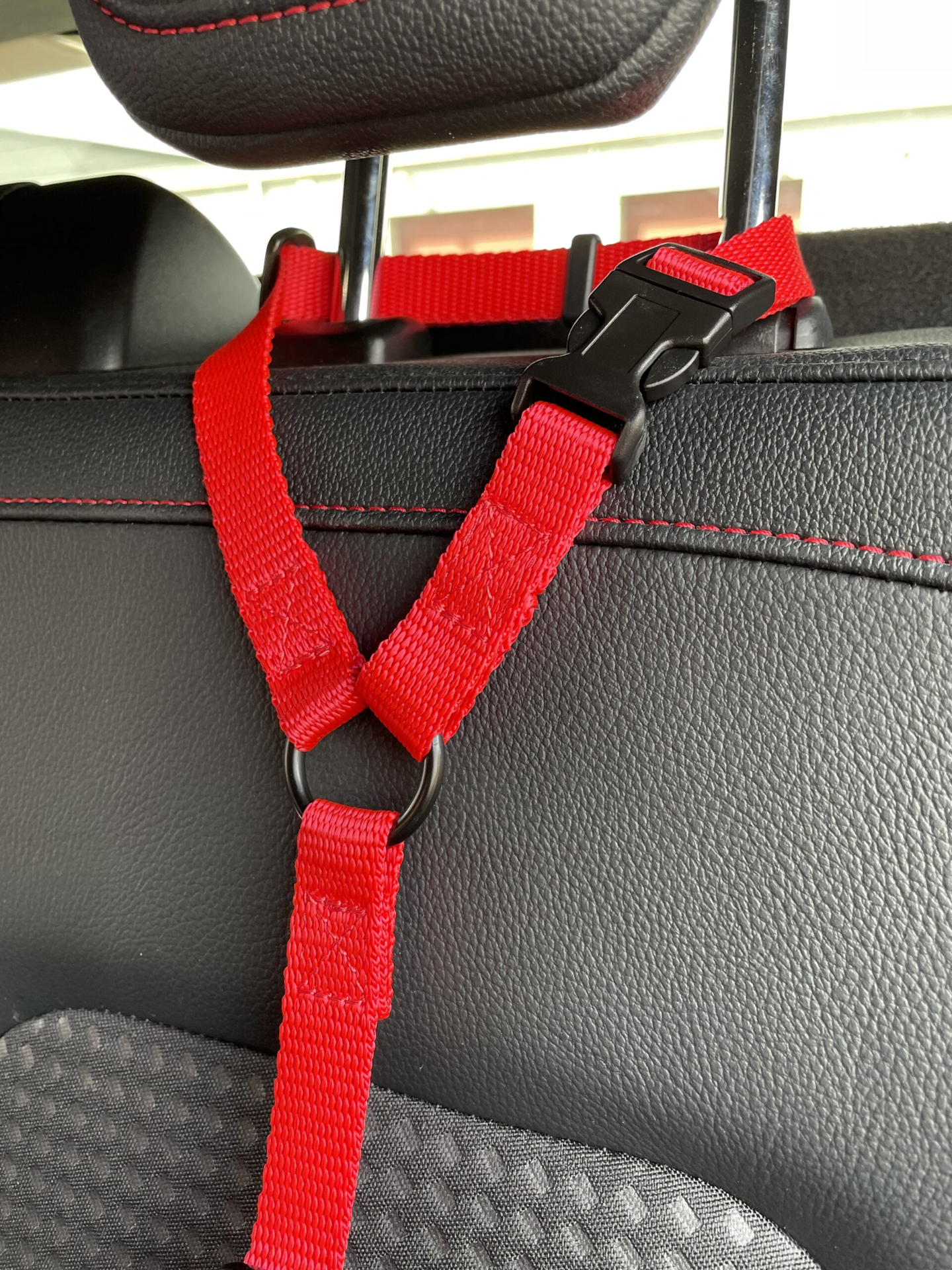 Car Seat Belt (for use with harness only)