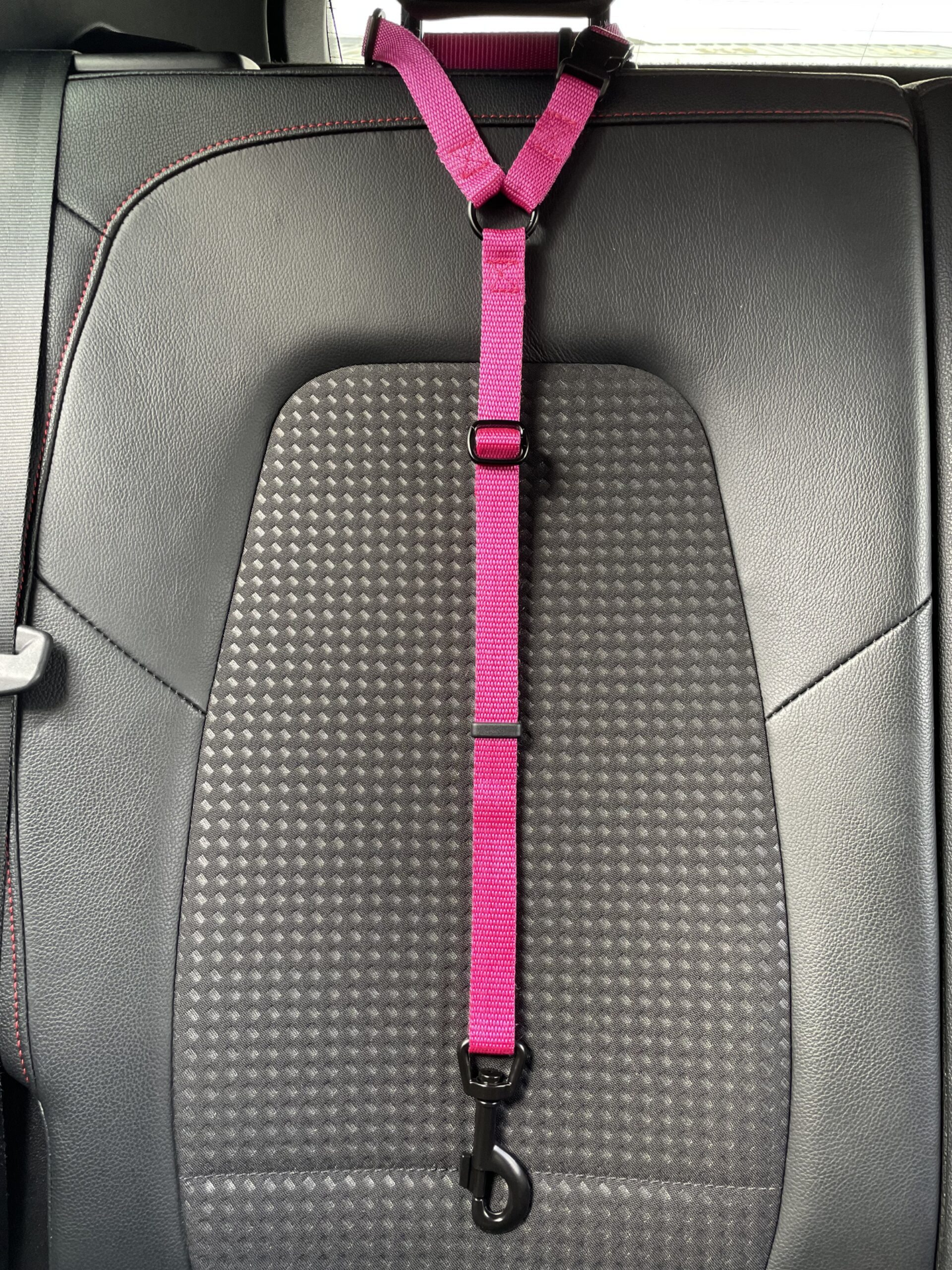 Car Seat Belt (for use with harness only)