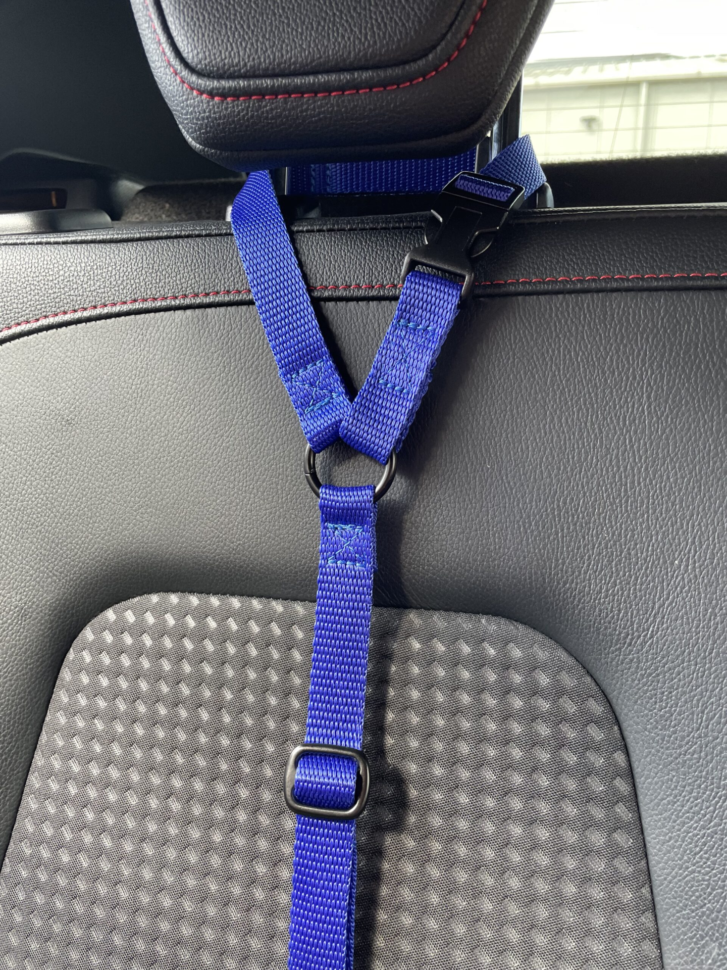 Car Seat Belt (for use with harness only)