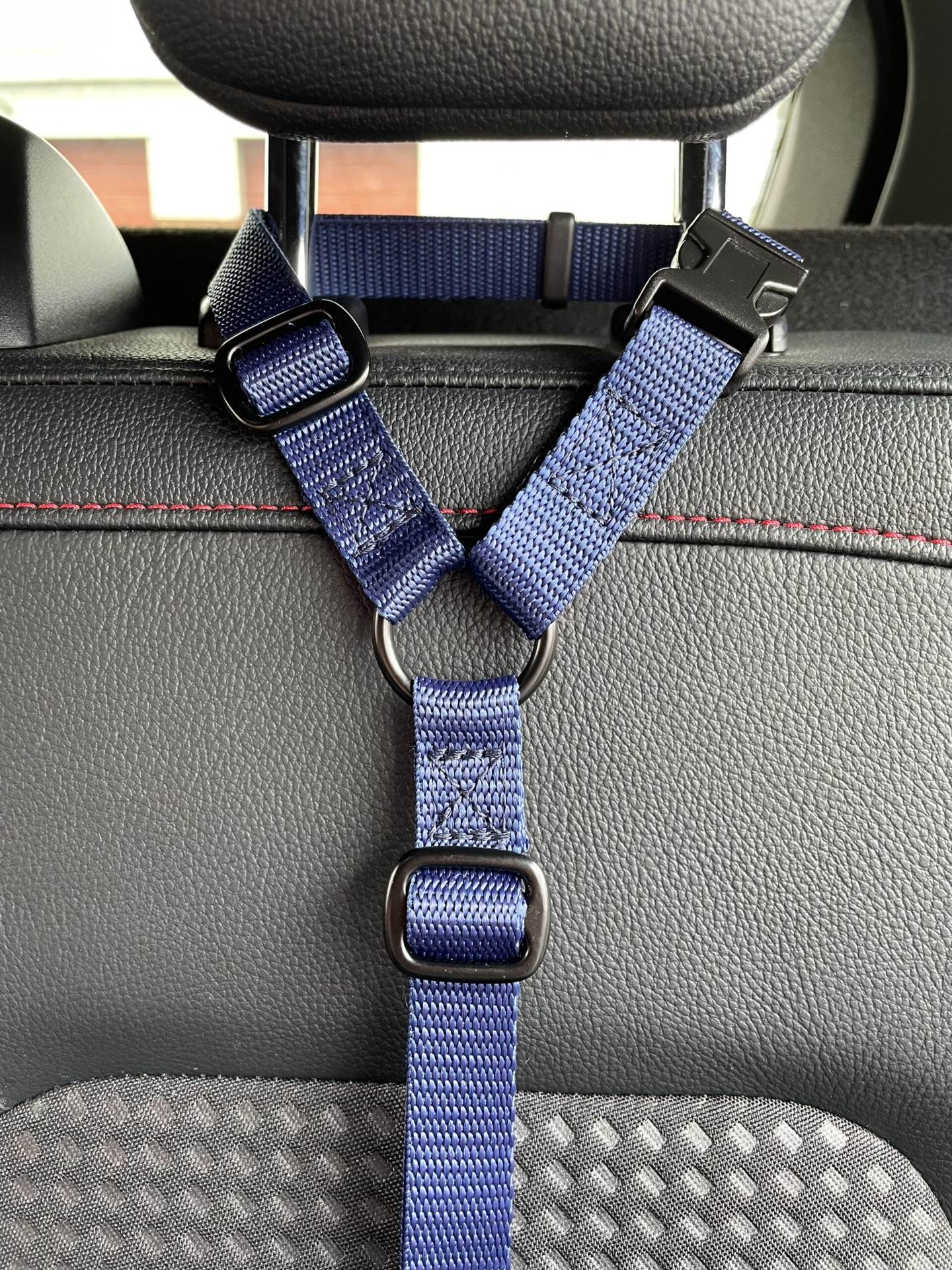 Car Seat Belt (for use with harness only)