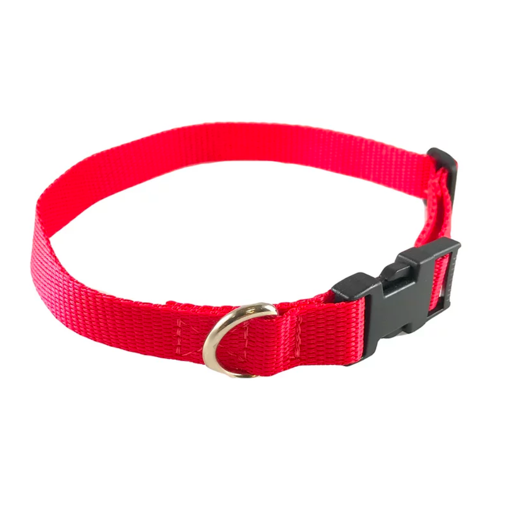 Standard Dog Collar