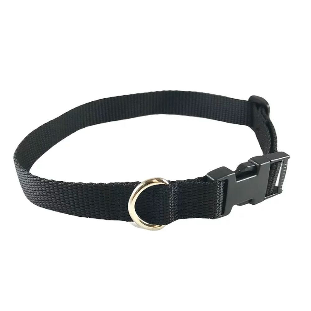 Standard Dog Collar