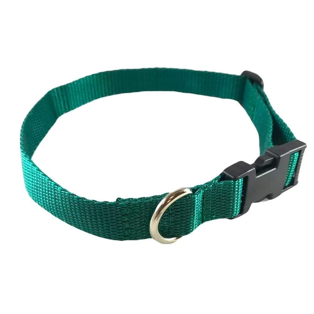 Standard Dog Collar