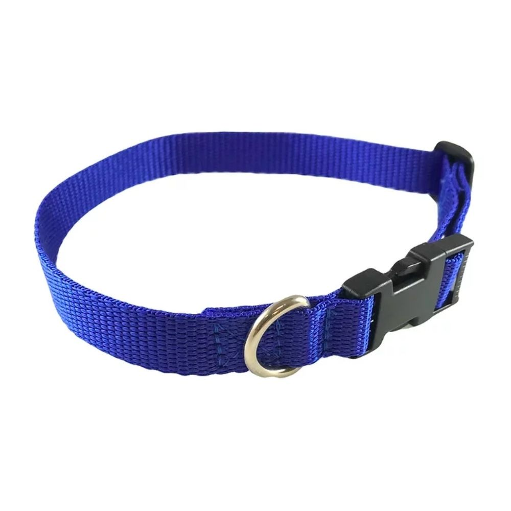 Standard Dog Collar