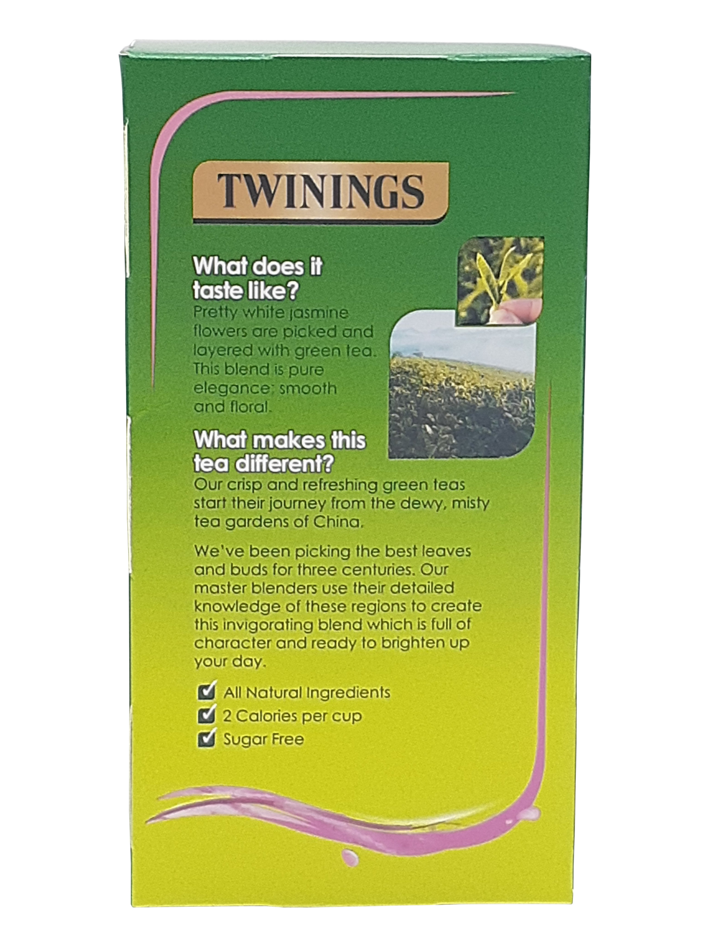 Twinings Green Tea & Jasmine Tea Bags Individually Enveloped Tagged Sachet Herb