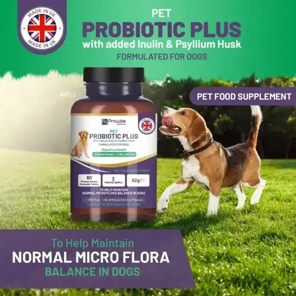 Pet Probiotic Plus with Added Inulin & Psyllium Husk 2 Billion CFU with 5 Active Strains I 60 Chicken Flavour Chewable Tablets 2 Months Supply