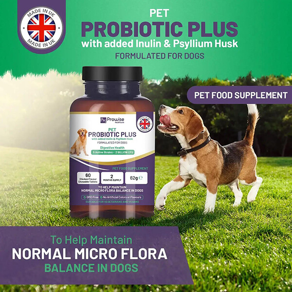 Combo Deal - Dog Joints 🦴 and Gut Health🐕 - Dog Joint Supplement + Pet Probiotic Plus I Made in the UK