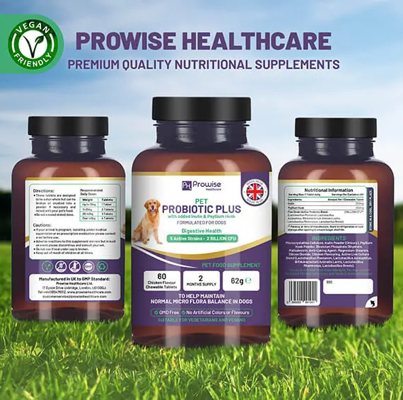 Combo Deal - Dog Joints 🦴 and Gut Health🐕 - Dog Joint Supplement + Pet Probiotic Plus I Made in the UK