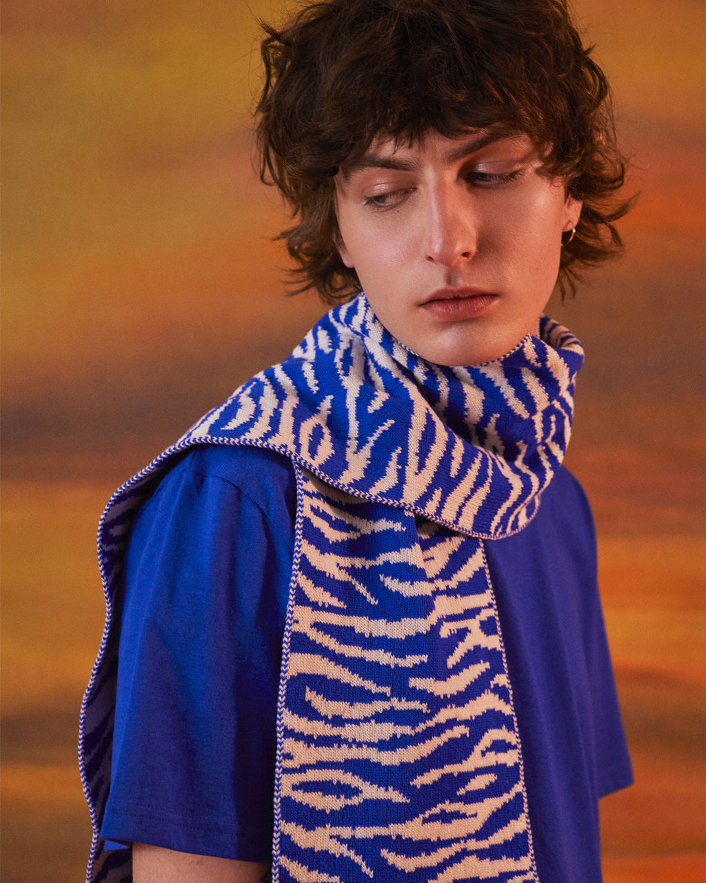 Tiger Wool & Cashmere Scarf Electric Blue